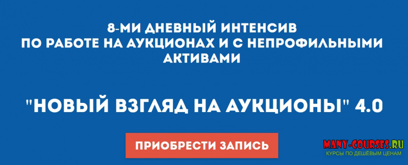 Вадим Куклин - Интенсив «Новый взгляд на аукционы 4.0»