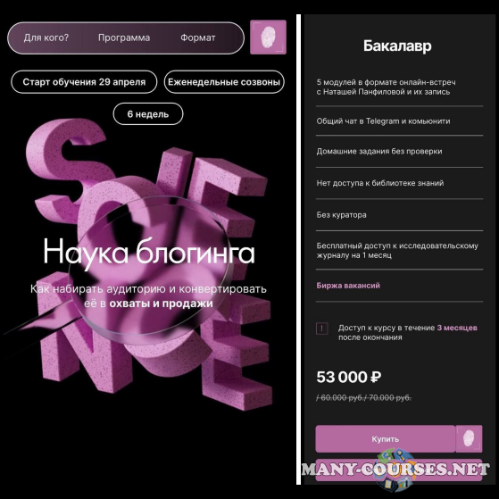 Наташа Панфилова - Наука блогинга. Тариф Бакалавр