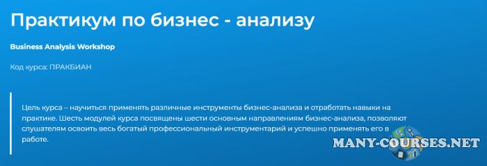Специалист / Светлана Казакова - Практикум по бизнес - анализу