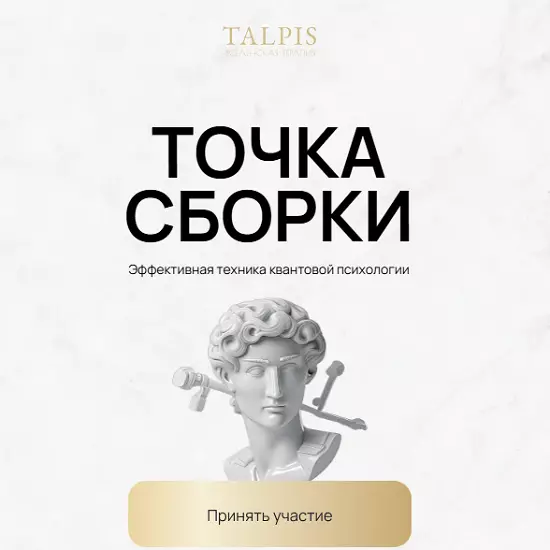 Леонид Тальпис - Точка Сборки
