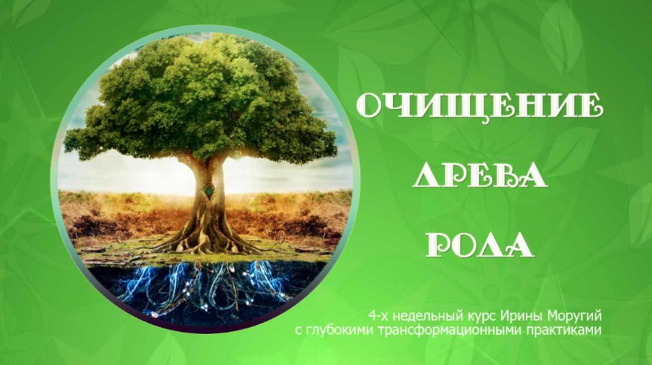 Ирина Моругий - Очищение древа рода