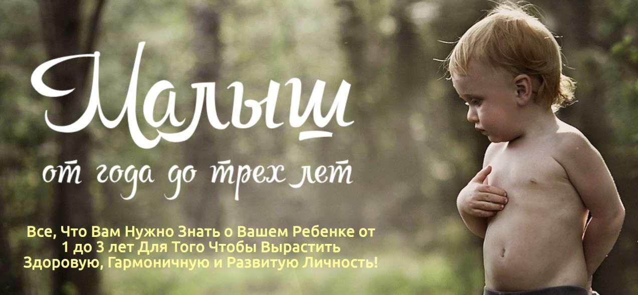 Ольга Свистунова - Малыш от года до трех лет