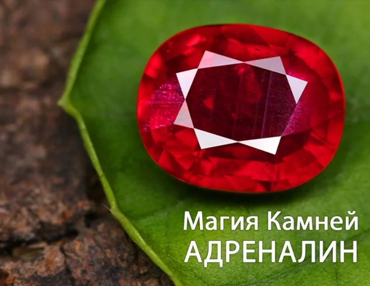 Анна Гак - Магия камней Адреналин