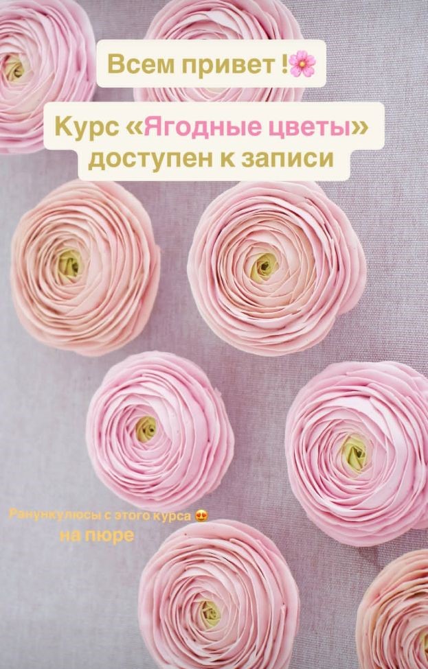 zefir.mira / Мирослава Садовая - Ягодные цветы