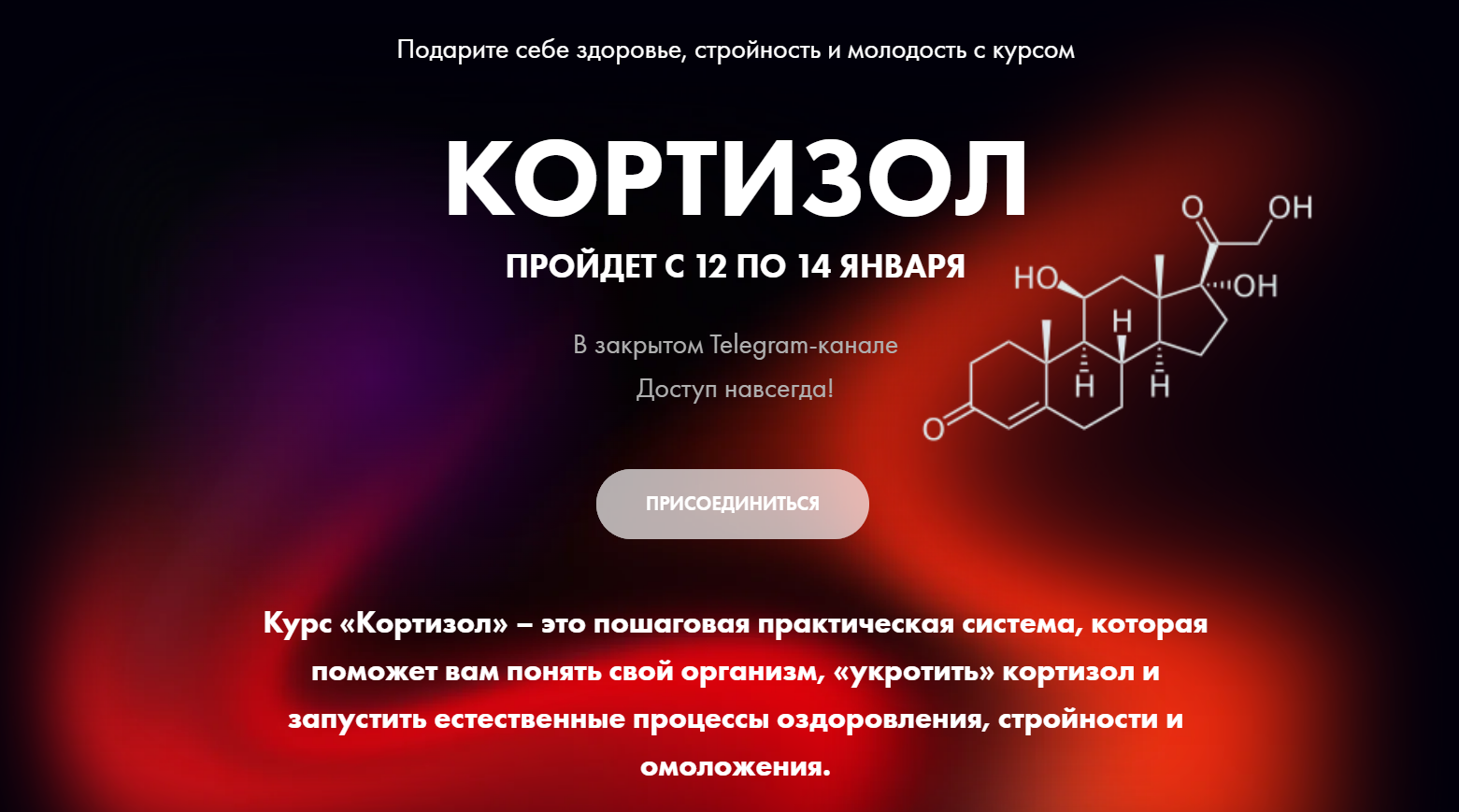Алёна Ковальчук - Кортизол