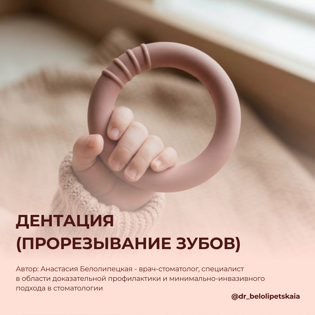 Анастасия Белолипецкая / - Инструкция по дентации - прорезыванию зубов