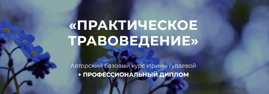 festtrav.ru / Ирина Гудаева - Практическое травоведение
