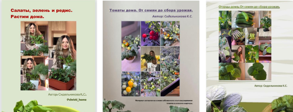 Кристина Сидельникова - Растим дома: огурцы, томаты, салаты, зелень, редис
