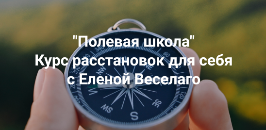Институт Открытого поля / Елена Веселаго - Полевая школа. Курс расстановок для себя