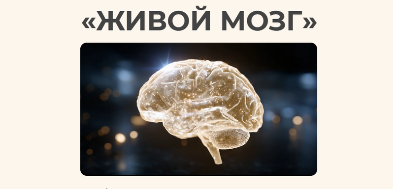 nutriciolog_zhukova / Валентина Жукова, Песня Самира - Живой мозг. Тариф 1