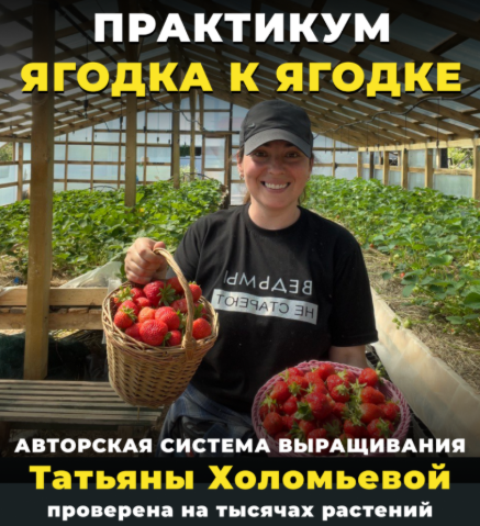 Татьяна Холомьёва - Практикум ягодка к ягодке