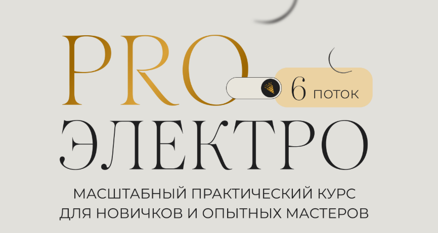 Галина Орлова - ProЭлектро. 6 поток. Тариф Я сама