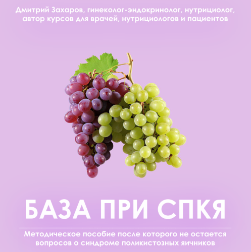 Дмитрий Захаров - База при СПКЯ