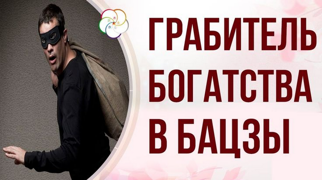 Светлана Мостовская - Грабитель богатства: враг или скрытый ресурс?