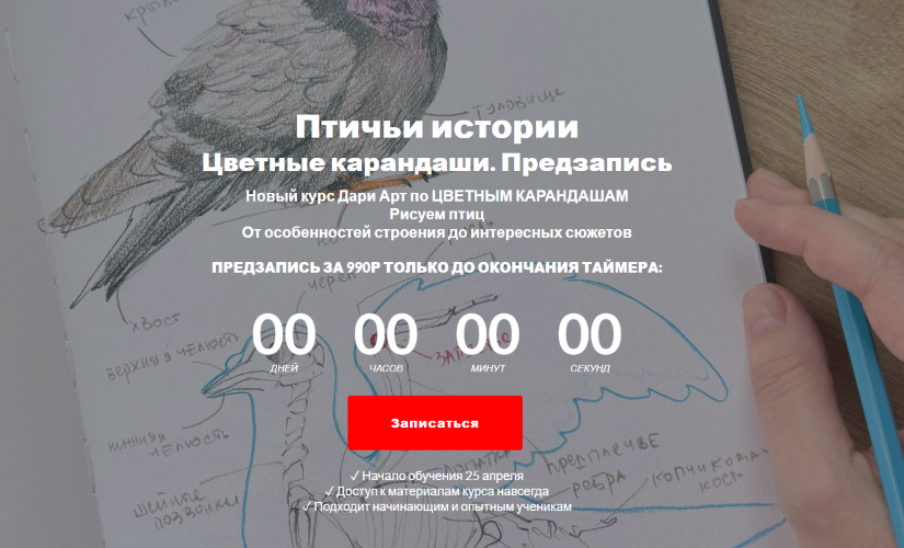 Dari Art - Дарья Долгополова → Птичьи истории. Цветные карандаши