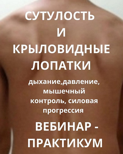 Александр Волоткевич - Сутулость и крыловидные лопатки