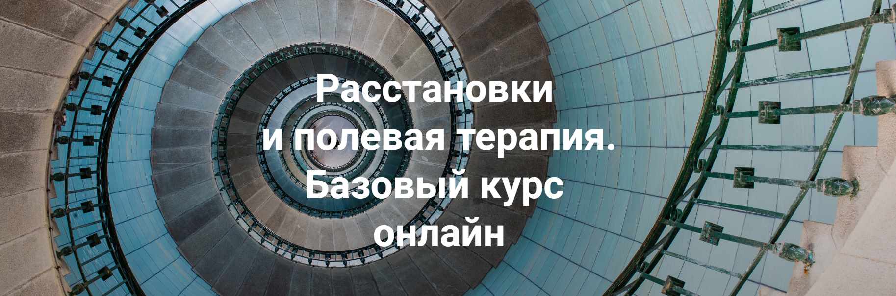 Елена Веселаго - Расстановки и полевая терапия. Базовый курс 2024. Тариф Практика