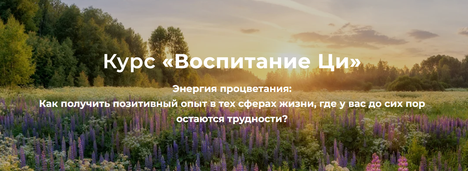 Дао Сфера - Дмитрий Лаптев → Воспитание Ци