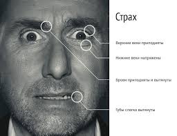 Психология лжи - Смыслов