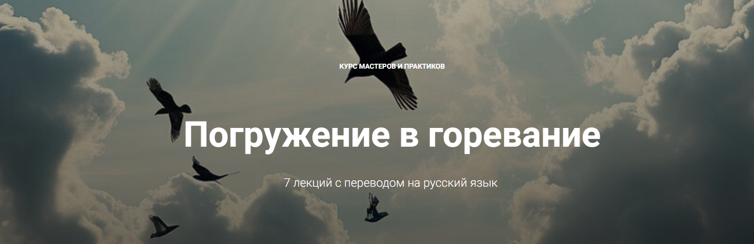 Диана Каяфа, Мюррей Стайн - Погружение в горевание