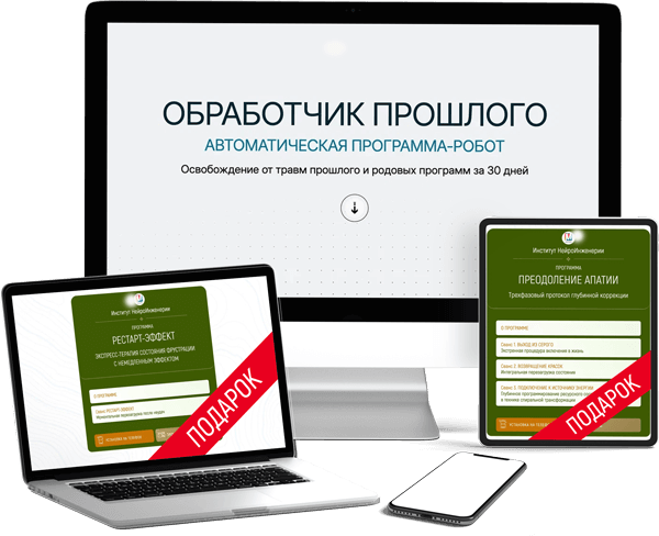 Марта Николаева / PSY-Инженерия - Гарина → Обработчик прошлого