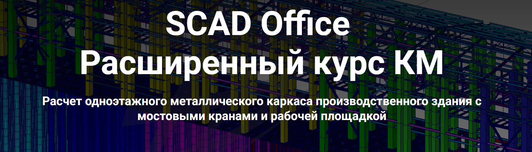 Школа НИП - SCAD Office. Расширенный курс КМ