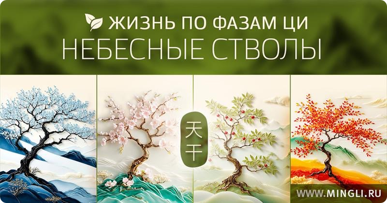 Елена Фролова - Жизнь по фазам Ци. Небесные стволы. Тариф Все сам