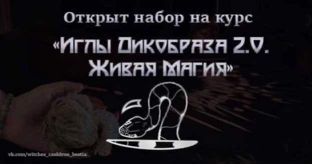Татьяна Гончарова, Наталья Петрик - Иглы Дикобраза 2.0. Живая Магия